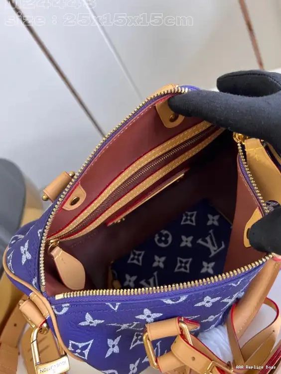 Aaa replica bags Vuitton 25 SPEEDY Louis 0603
